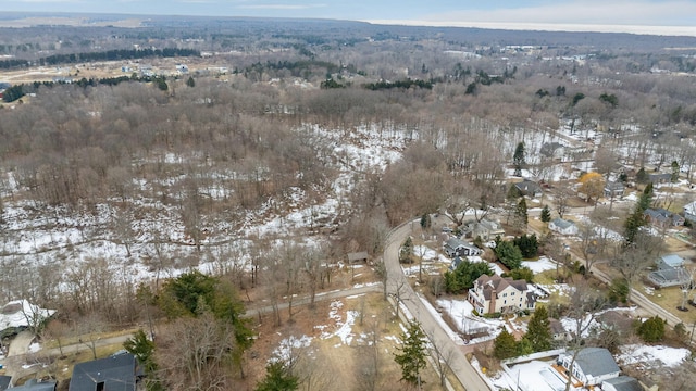 snowy aerial view with a view of trees