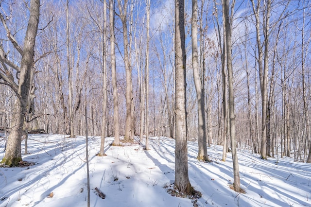 snowy yard with a wooded view