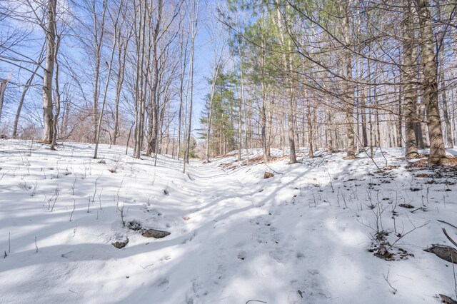 view of yard covered in snow