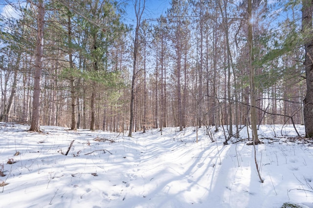 yard covered in snow featuring a forest view