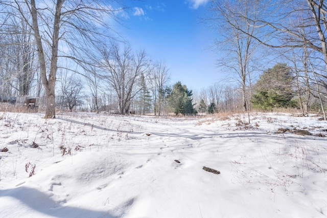 view of yard covered in snow