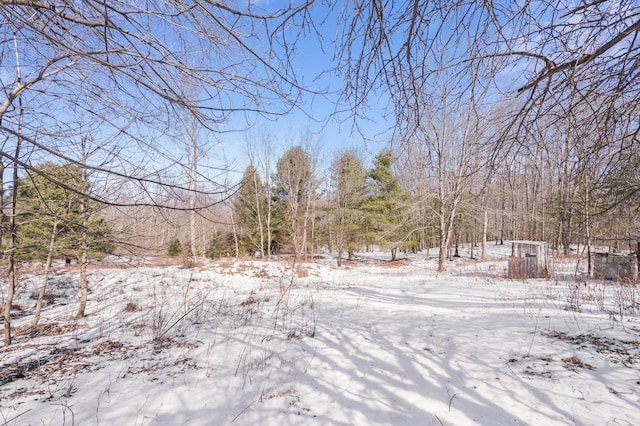 view of yard layered in snow