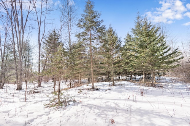 view of snowy landscape