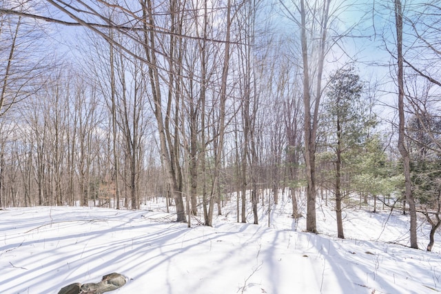 view of yard covered in snow