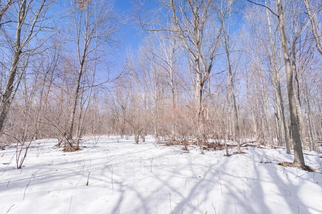 view of yard covered in snow