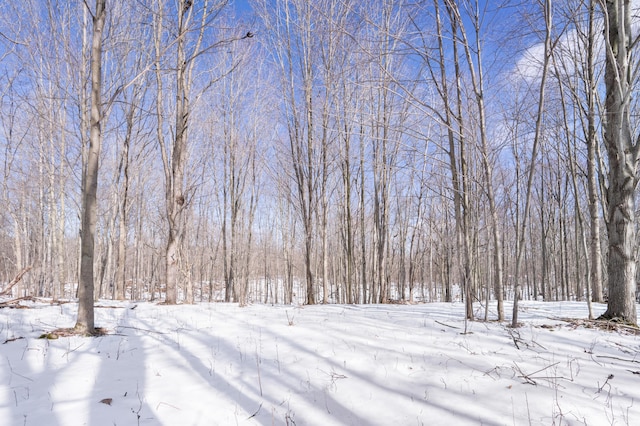 view of yard layered in snow