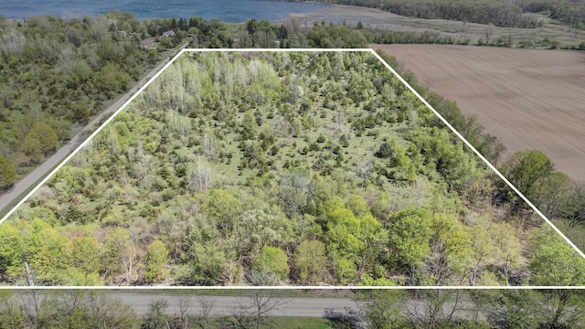 PARCEL2 Roepke Rd, Gregory MI, 48137 land for sale