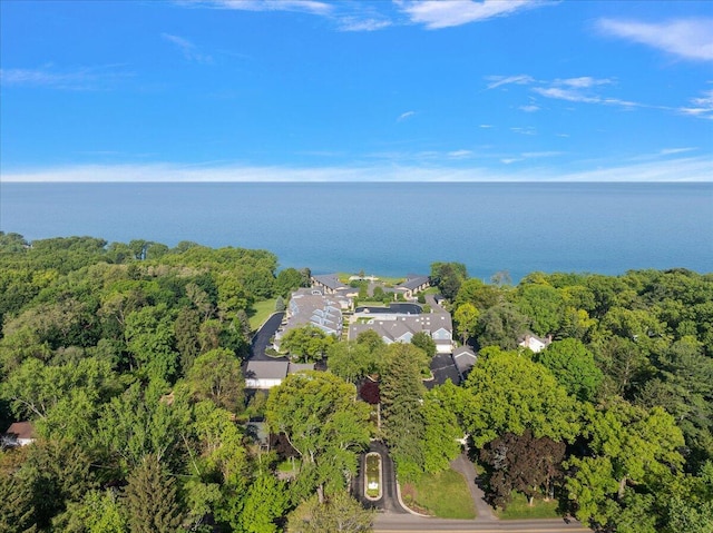 4144 Ridge Rd Unit 16, Stevensville, MI 49127 - aerial view of property's location