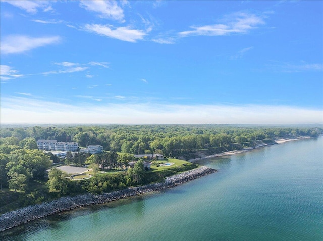 4144 Ridge Rd Unit 16, Stevensville, MI 49127 - drone / aerial view of a nearby body of water and a forest