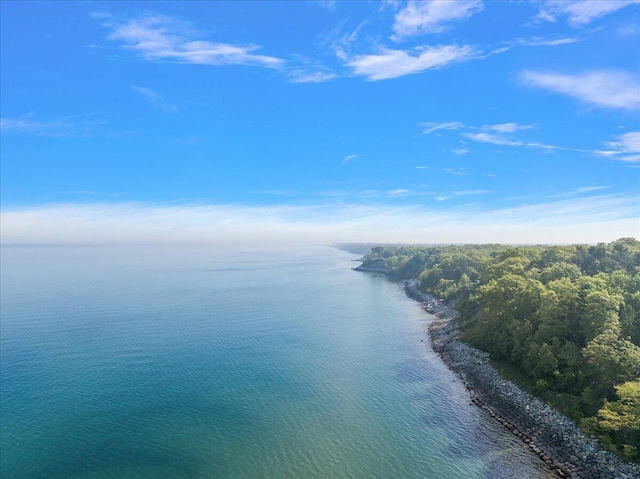 4144 Ridge Rd Unit 16, Stevensville, MI 49127 - water view featuring a heavily wooded area