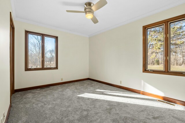 carpeted empty room with a wealth of natural light, visible vents, crown molding, and baseboards