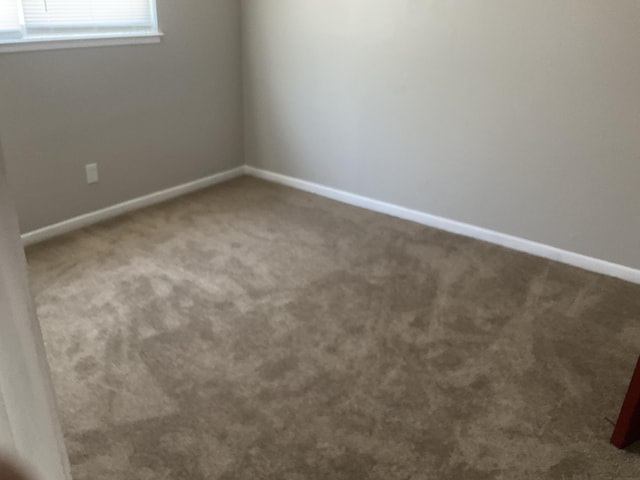 spare room featuring baseboards and carpet flooring