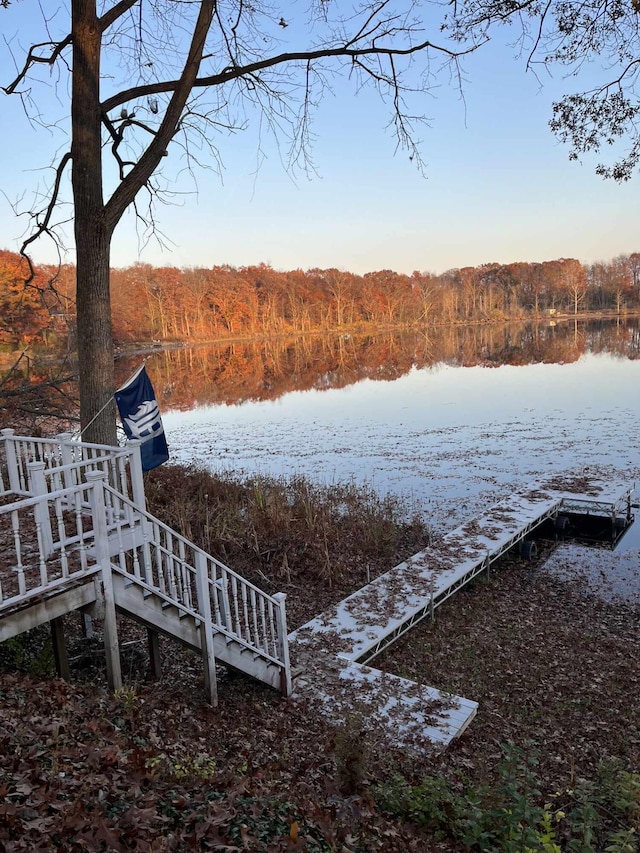 5007 S 42nd St, Climax, MI 49034 - dock featuring a wooded view