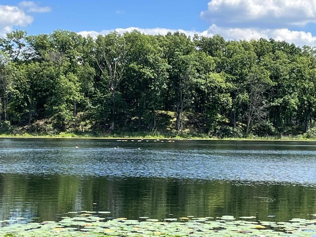 5007 S 42nd St, Climax, MI 49034 - water view