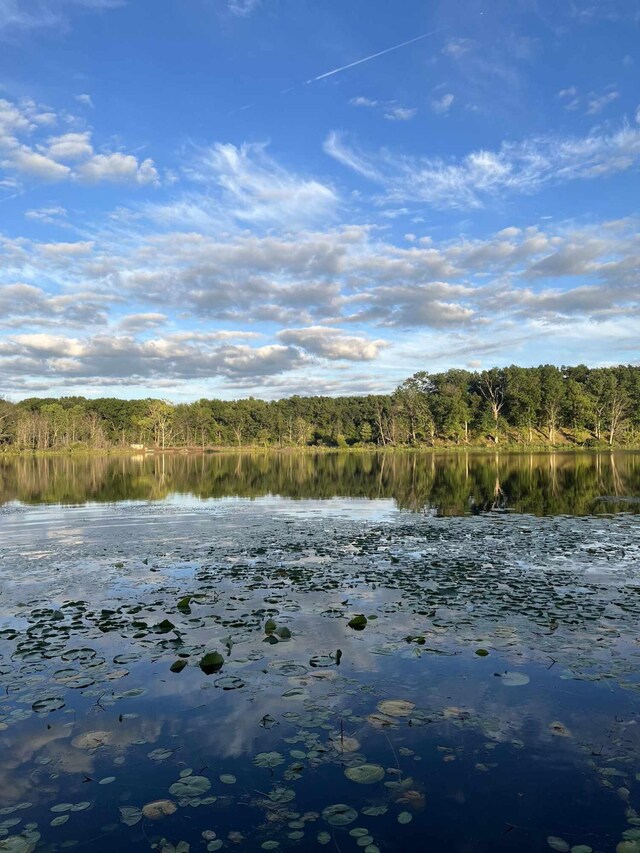 5007 S 42nd St, Climax, MI 49034 - water view with a heavily wooded area