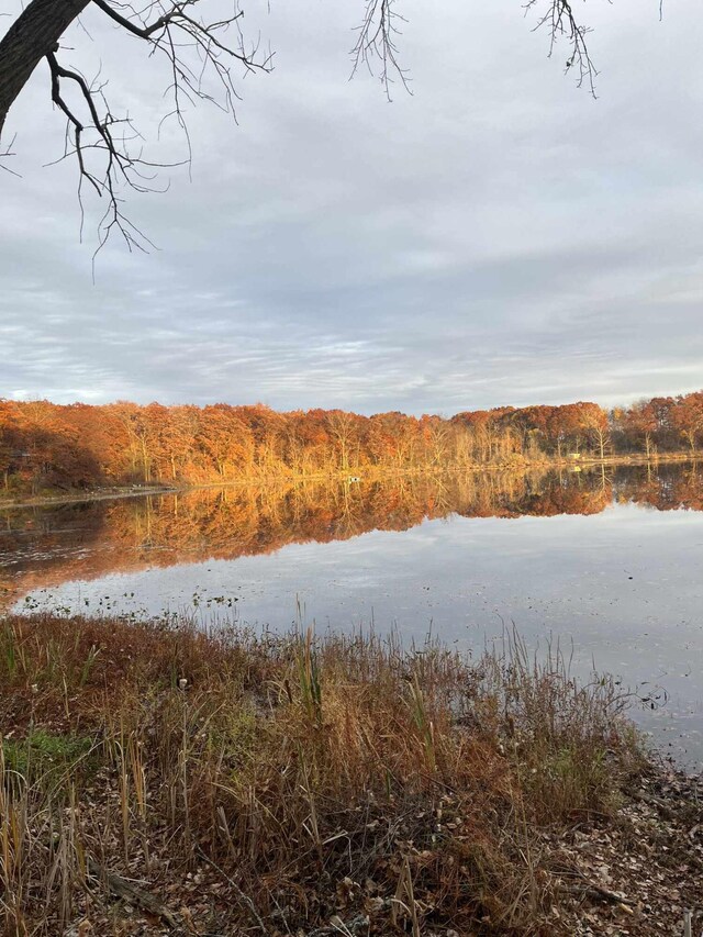 5007 S 42nd St, Climax, MI 49034 - water view with a heavily wooded area