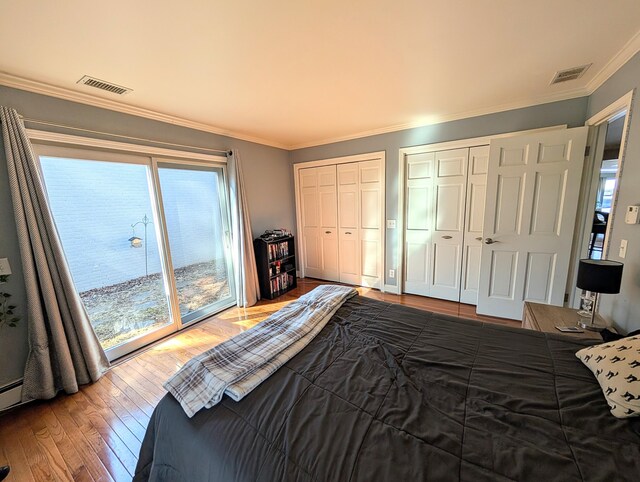 5007 S 42nd St, Climax, MI 49034 - bedroom featuring two closets, wood finished floors, ornamental molding, and access to exterior