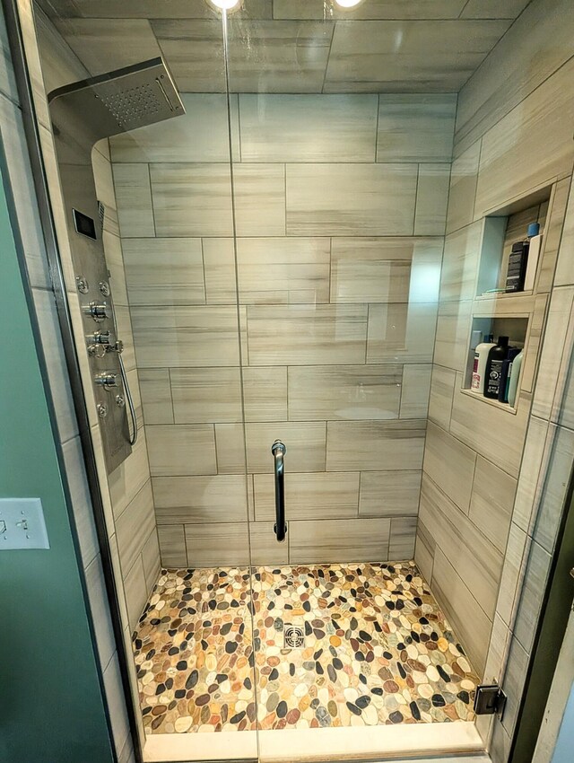 5007 S 42nd St, Climax, MI 49034 - bathroom featuring a stall shower
