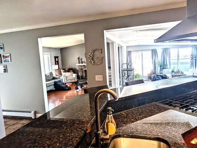 5007 S 42nd St, Climax, MI 49034 - kitchen featuring a baseboard heating unit, open floor plan, a sink, a fireplace, and dark stone counters