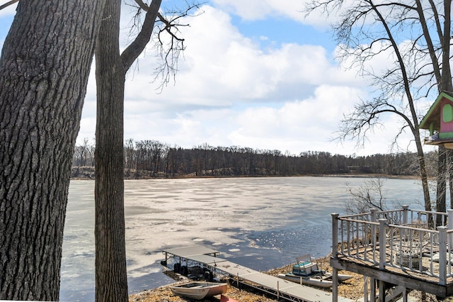 5007 S 42nd St, Climax, MI 49034 - dock with a water view and a wooded view