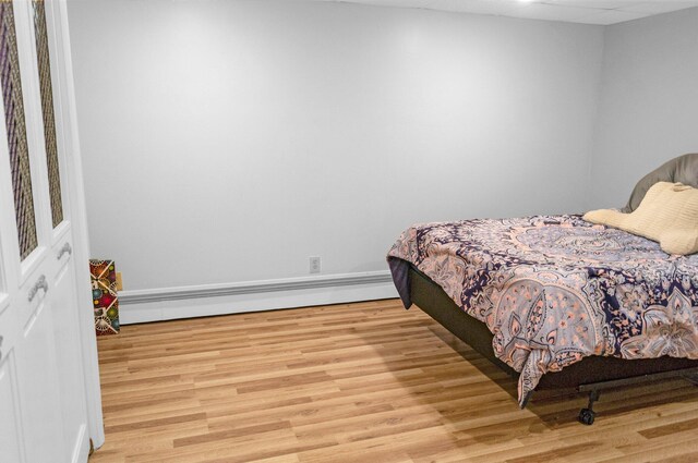 5007 S 42nd St, Climax, MI 49034 - bedroom featuring a baseboard radiator, light wood finished floors, and baseboards