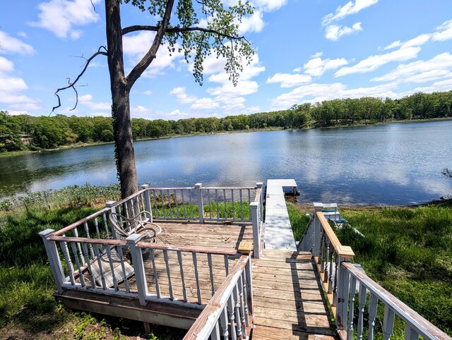 5007 S 42nd St, Climax, MI 49034 - dock with a water view