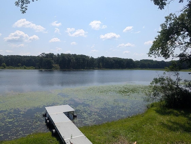 5007 S 42nd St, Climax, MI 49034 - photo 6