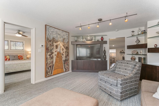 living room featuring a textured ceiling and carpet