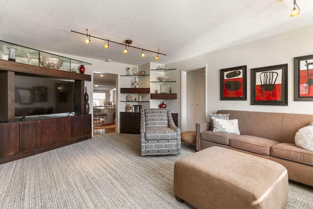 carpeted living room with a textured ceiling and rail lighting