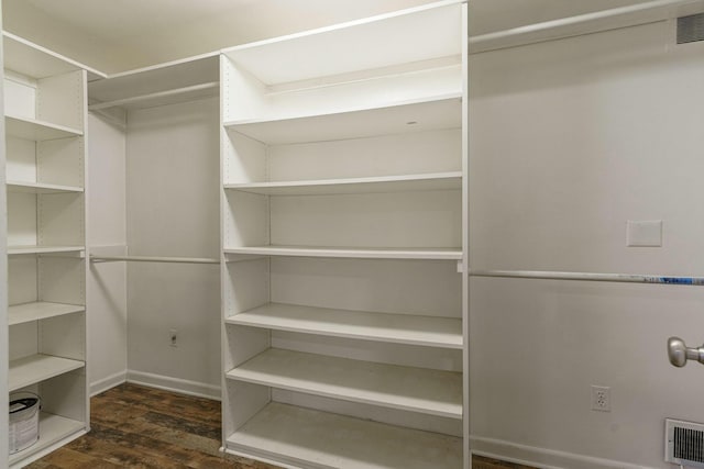 spacious closet with visible vents and dark wood finished floors