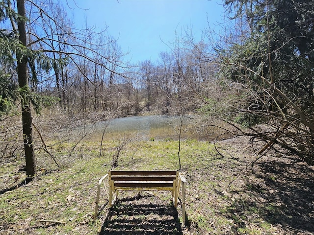 exterior space featuring a water view
