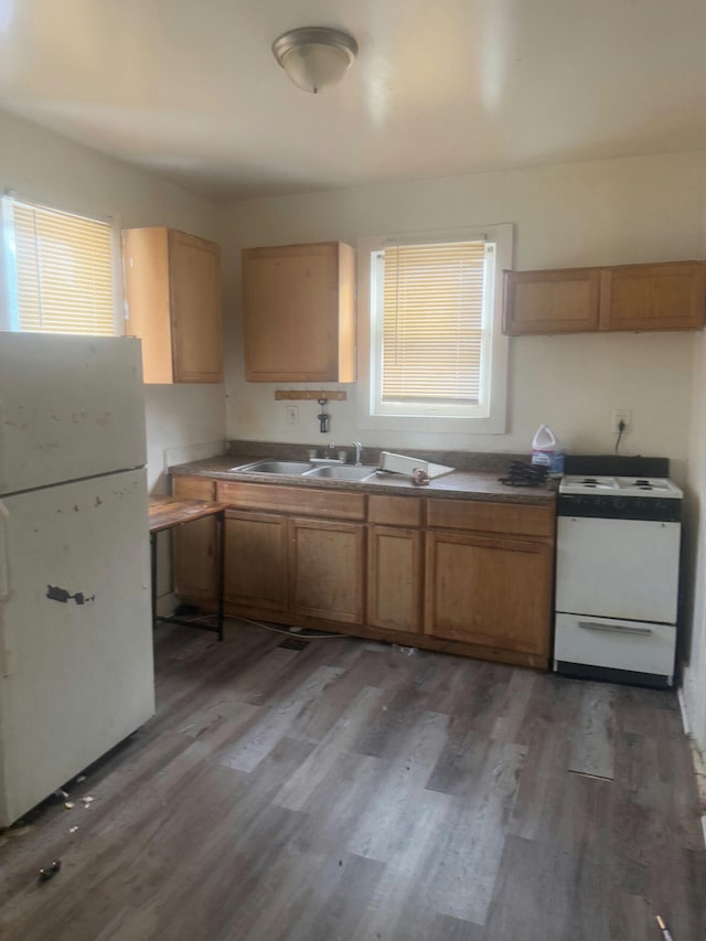 20290 Annott St, Detroit, MI 48205 - photo 4