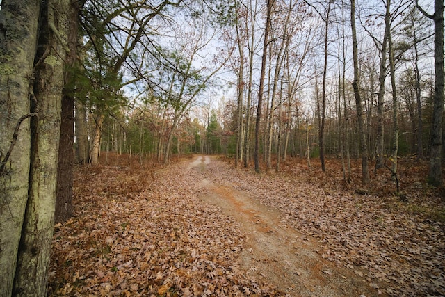 view of road featuring a wooded view