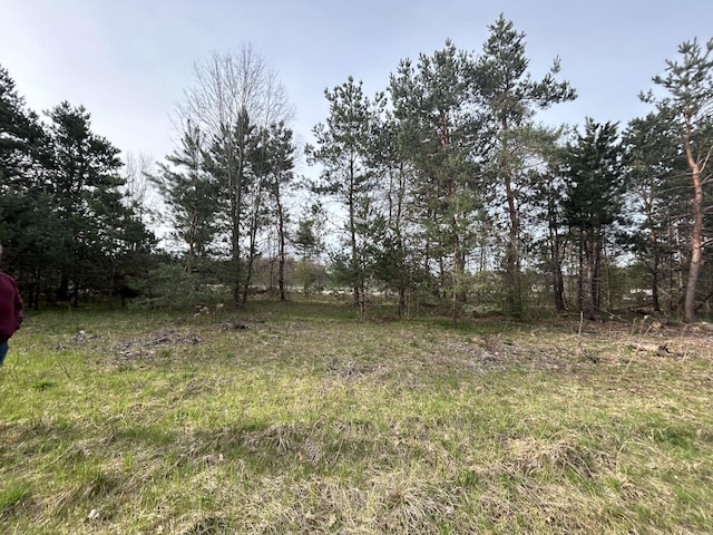 Listing photo 3 for V/L E Sternberg Rd Lot 25, Fruitport MI 49415