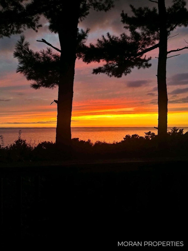 nature at dusk with a water view