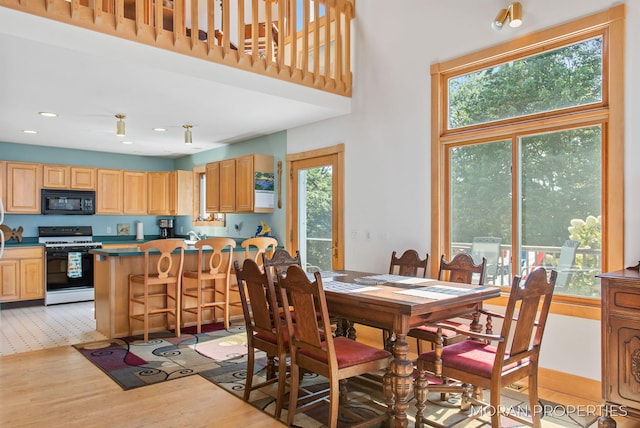 dining room featuring light wood-style flooring, a healthy amount of sunlight, and a towering ceiling