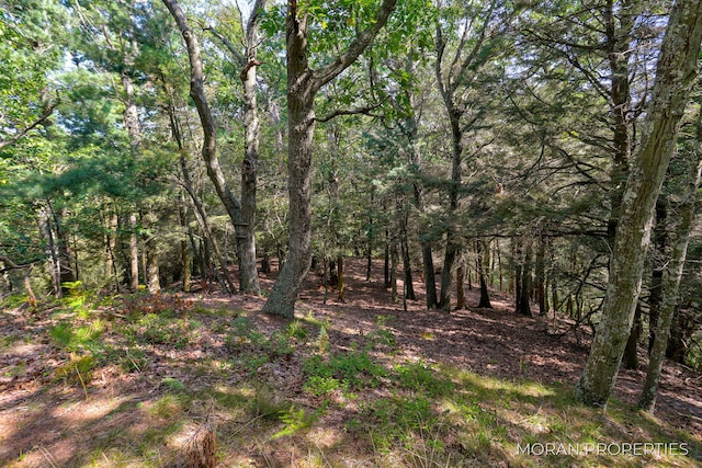 view of landscape featuring a view of trees