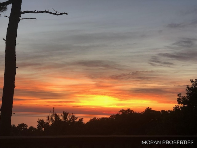 view of nature at dusk