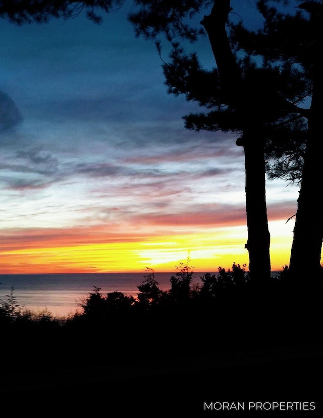 nature at dusk featuring a water view