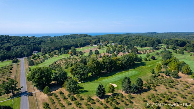 aerial view featuring a wooded view