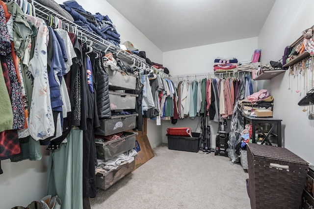 walk in closet featuring carpet flooring