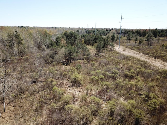 3179 W US-10, Ludington, MI 49431