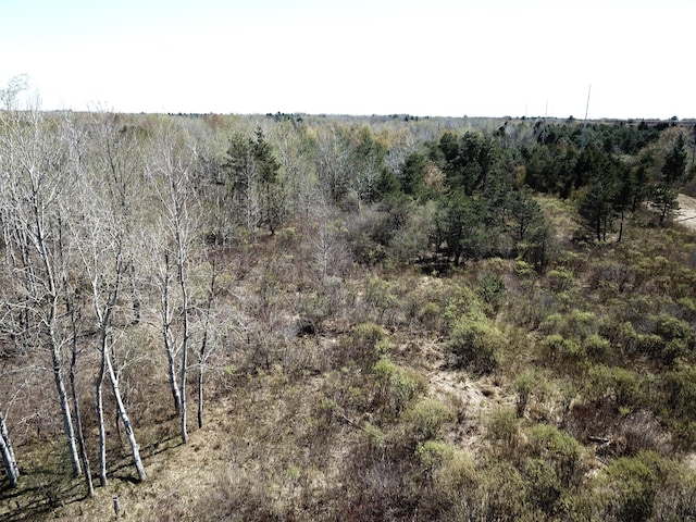 3179 W US-10, Ludington, MI 49431