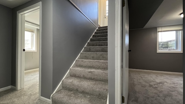 stairs featuring baseboards and carpet floors