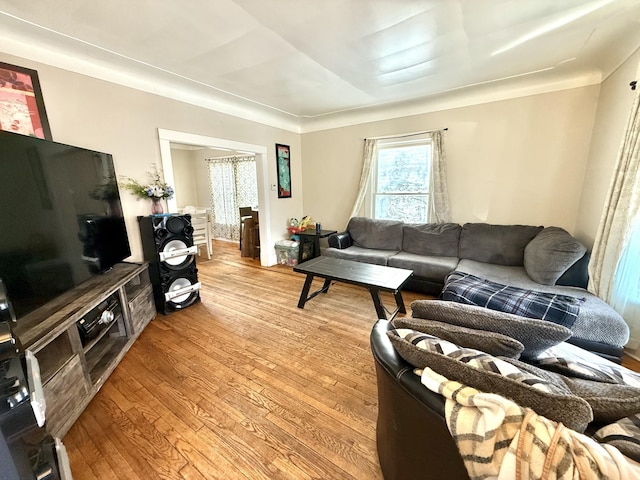 living area with light wood finished floors