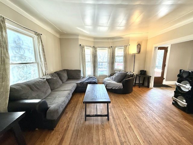 living area with baseboards and wood-type flooring