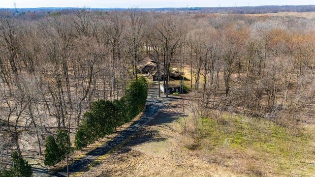 61914 M-51, Niles, MI 49120 - aerial view
