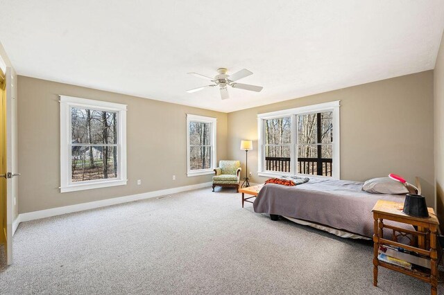 61914 M-51, Niles, MI 49120 - bedroom with baseboards, multiple windows, a ceiling fan, and carpet flooring