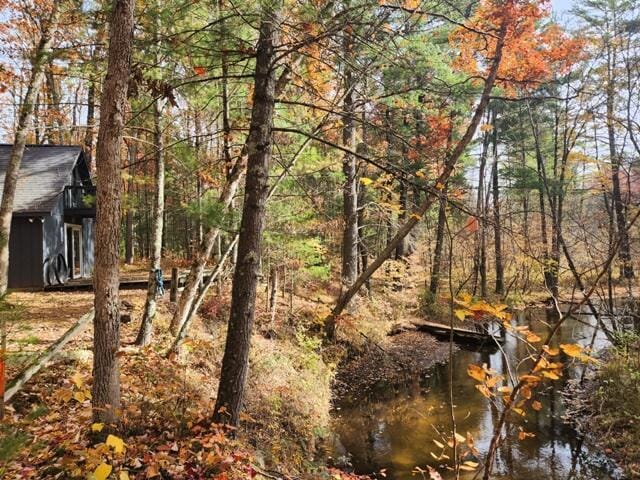 view of nature featuring a forest view