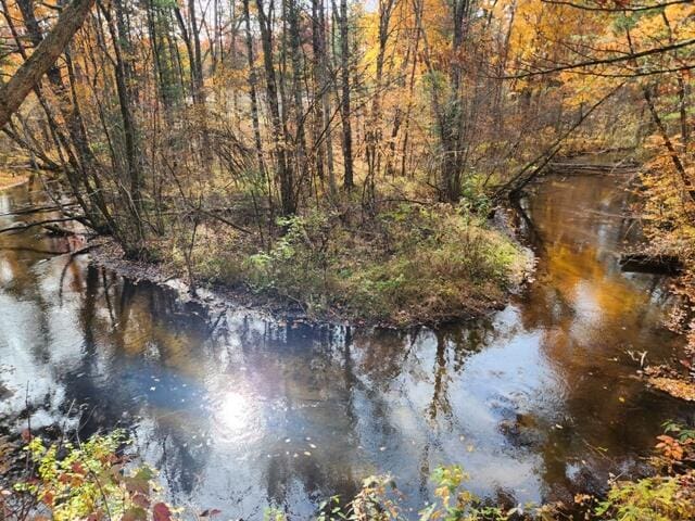 water view with a forest view